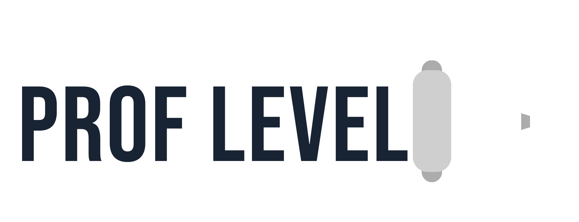prof-level